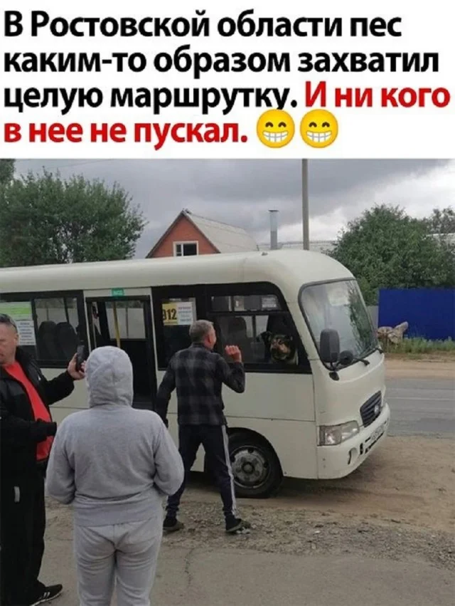Выгружаем картинки