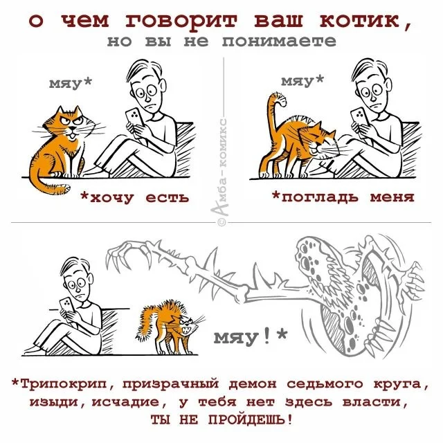Смешные скрины из соцсетей #56
