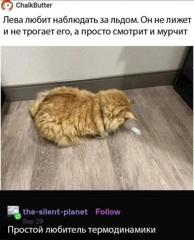 Смешные скрины из соцсетей #52