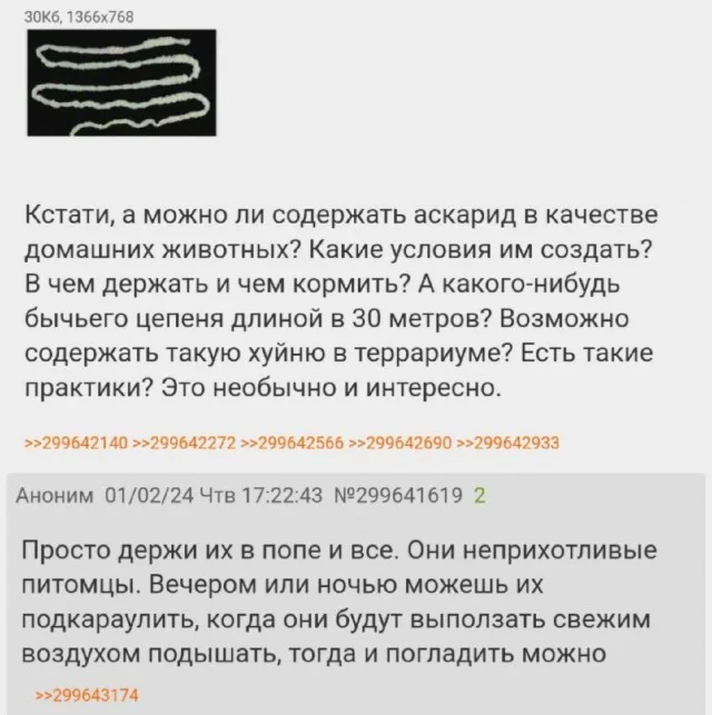 Юморок