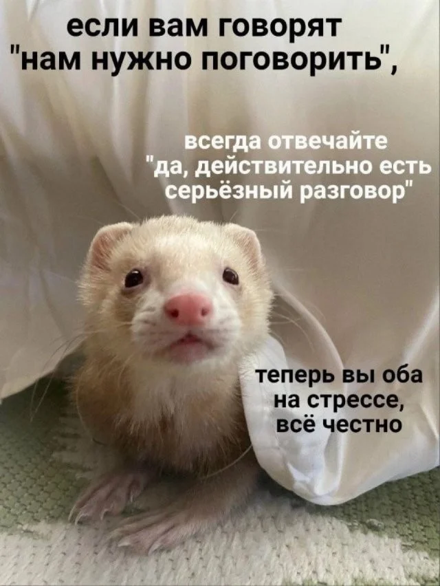 Смешные скрины из соцсетей #60