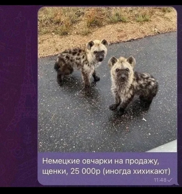 Юморок