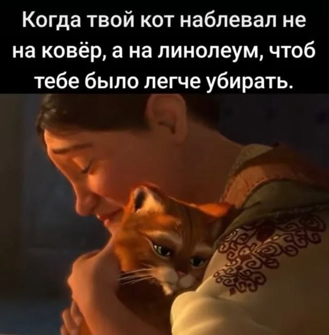 Смешные скрины из соцсетей #48