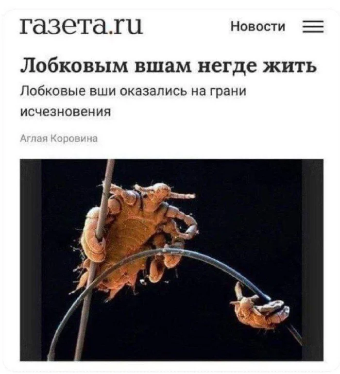 Нестандартный юмор #396