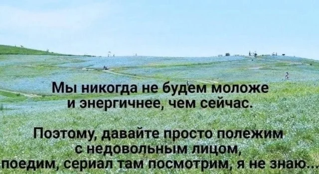 Смешные скрины из соцсетей #50