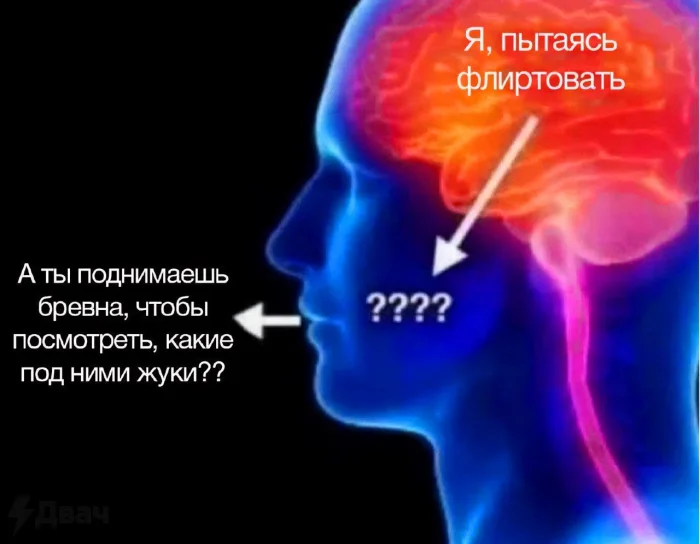 Нестандартный юмор #384