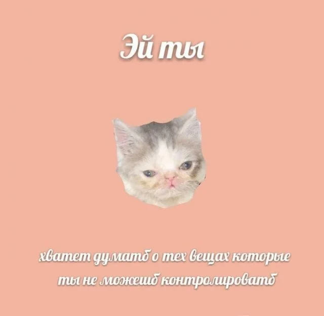 Смешные скрины из соцсетей #61