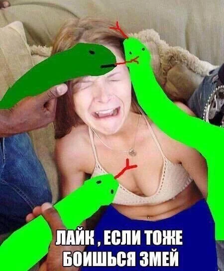 Картинки без морали