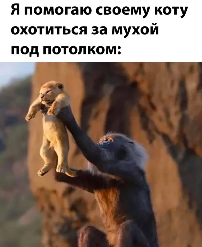 Нестандартный юмор #374