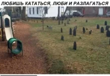 Нестандартный юмор #395