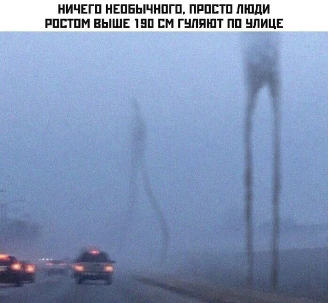 Смешные картинки! Смотрим!
