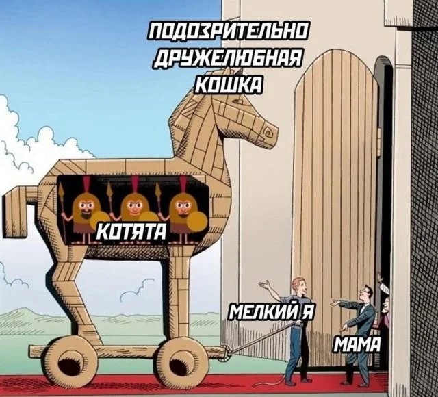 Смешные скрины из соцсетей #53