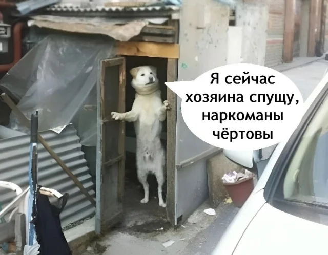 Смешные картинки! Смотрим!