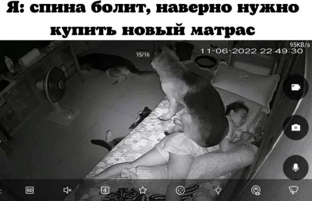 Смешные скрины из соцсетей #61