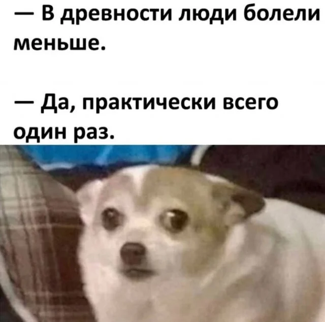 Смешные скрины из соцсетей #54