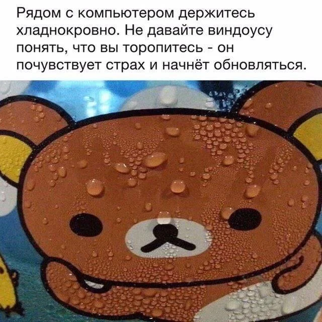 Смешные скрины из соцсетей #62
