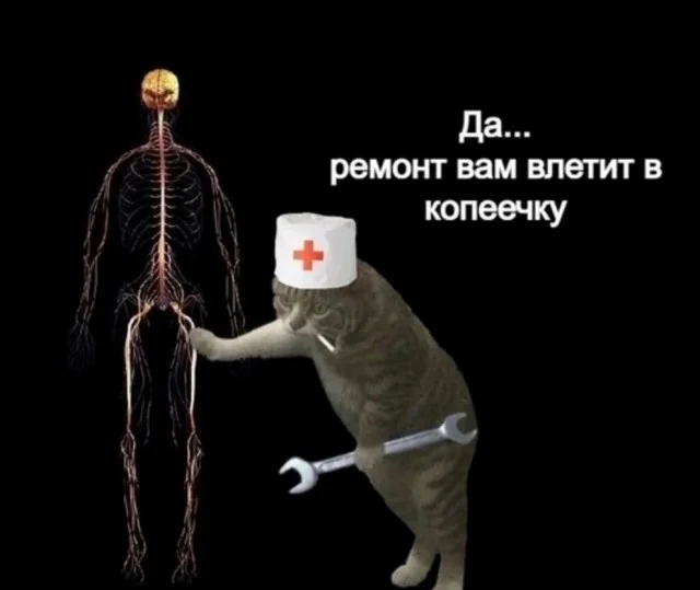 Халявные баяны