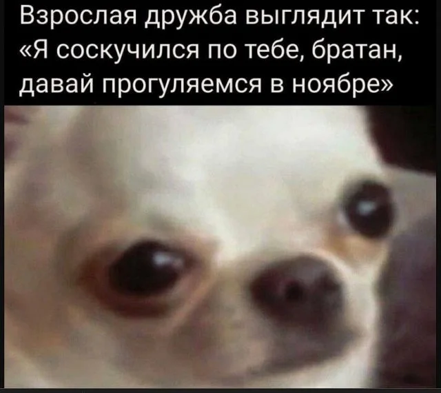 Смешные скрины из соцсетей #48