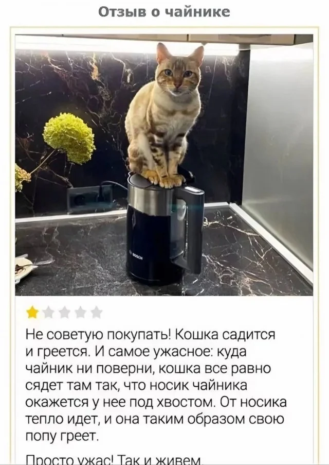 Ха-ха! Картинки!