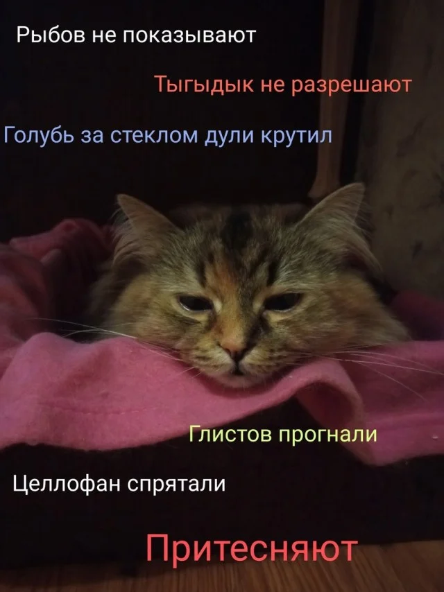 А вот и картинки