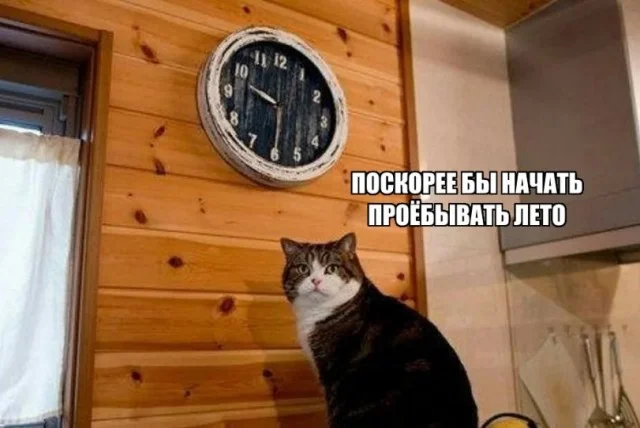 Отборная деградация