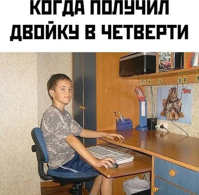 Нестандартный юмор #377