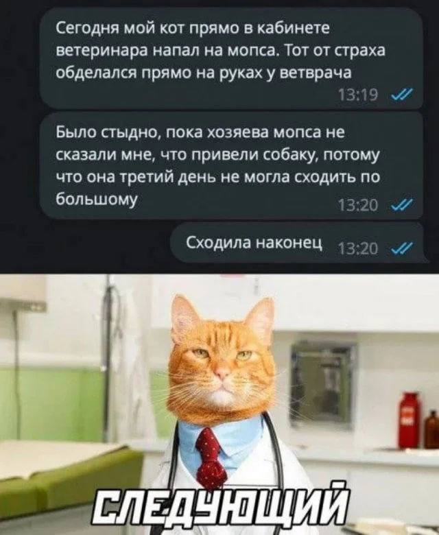 Смешные скрины из соцсетей #63