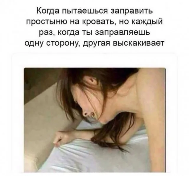 Веселые дичь