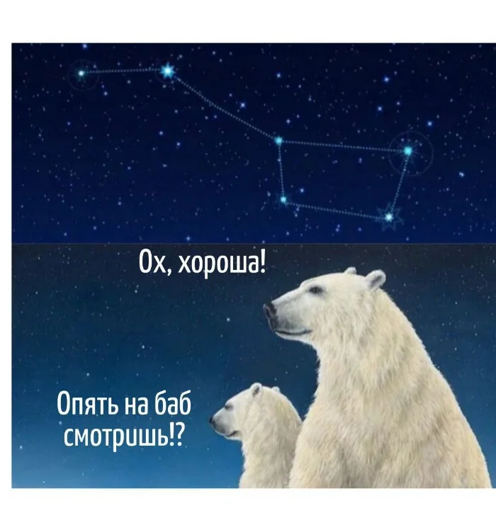 Игра слов #82