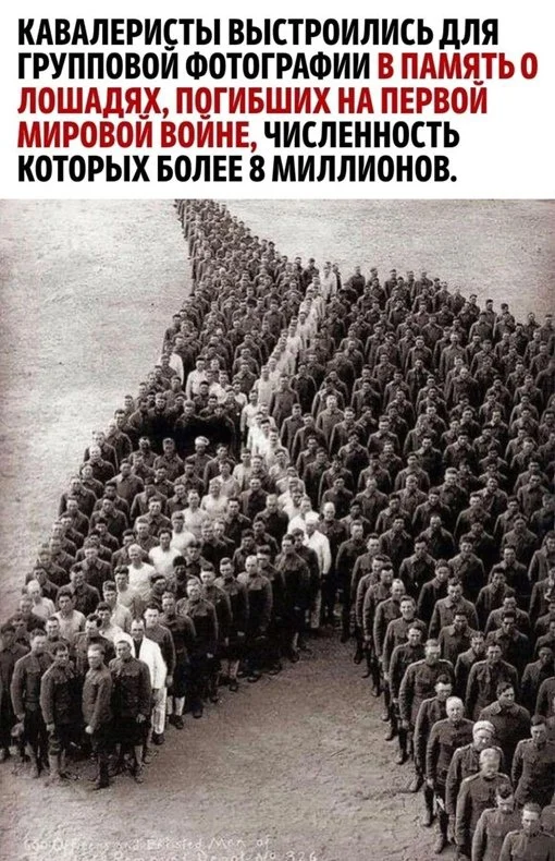 Отгружаем картинки