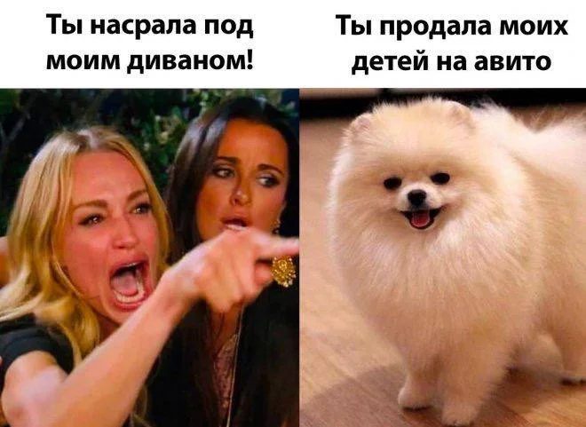 Нестандартный юмор #376