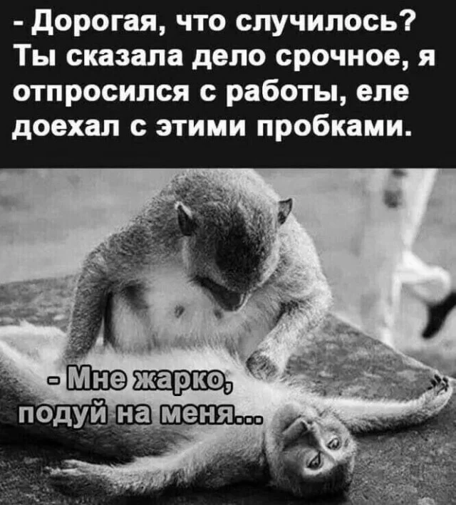 Очень весело