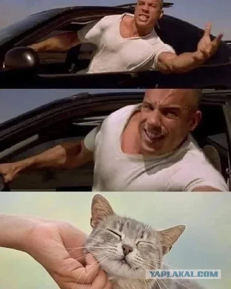 Архив баянов