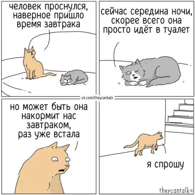 Смешные скрины из соцсетей #63