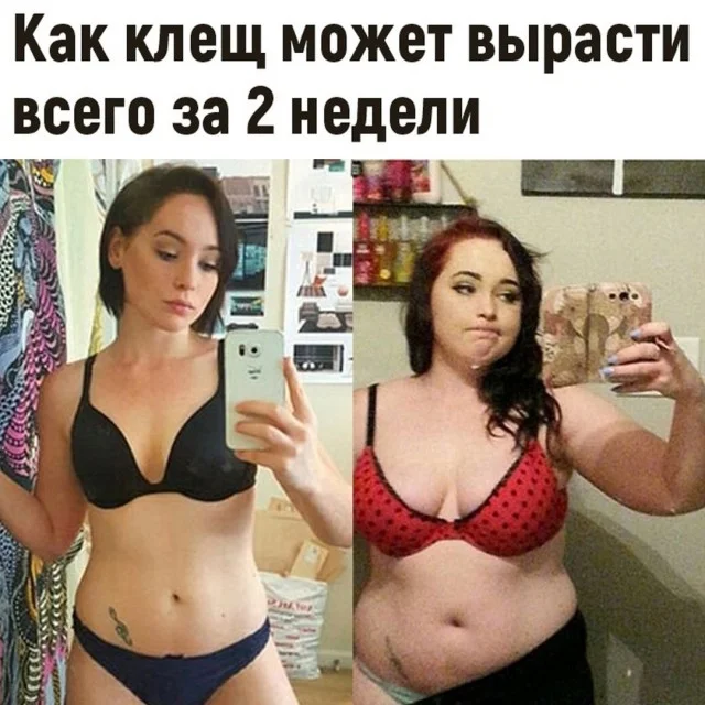 Очень весело