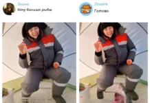 Когда просили улучшить фото — и не пожалели: юмористические работы Zinoink
