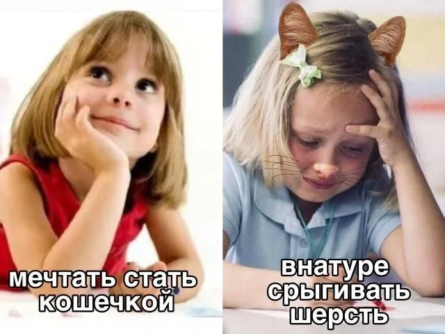 Смешные скрины из соцсетей #52