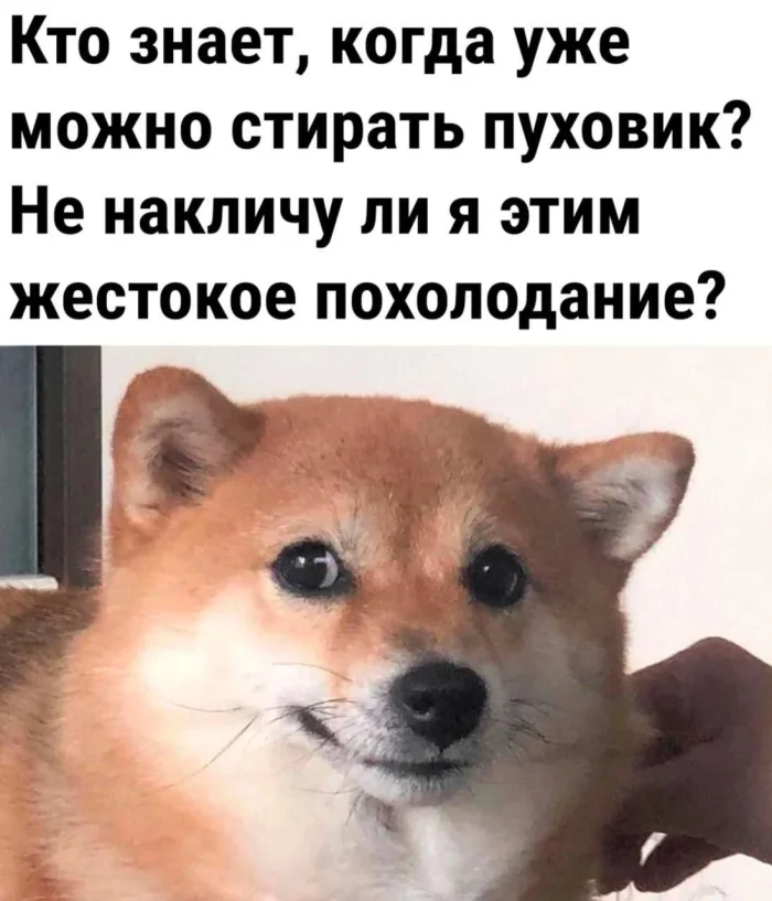 Картинки. С текстом