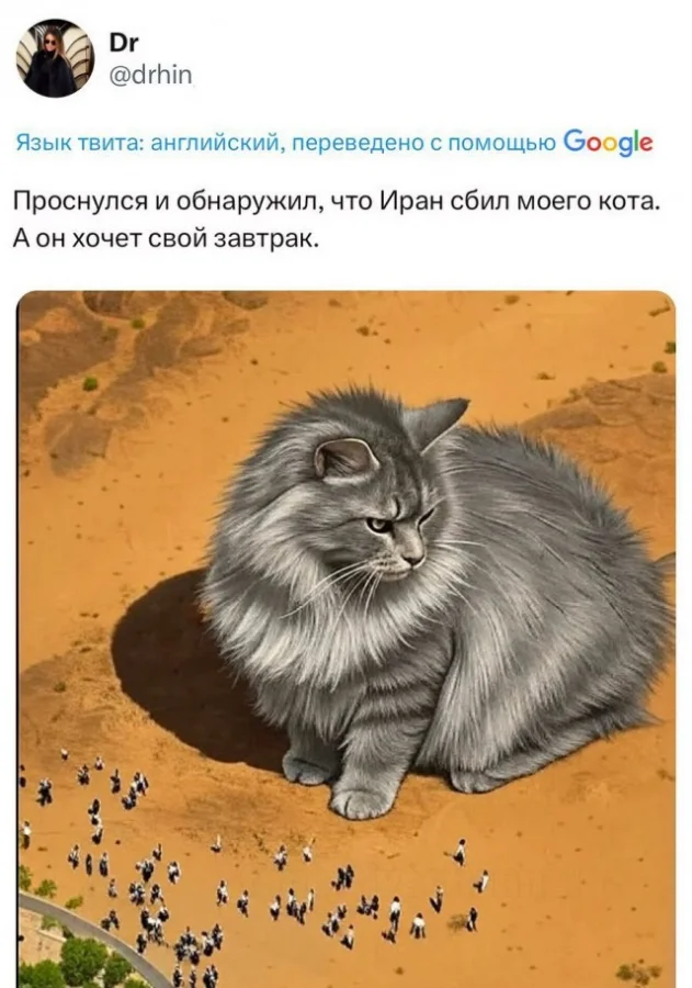 Иранский фейл: фото «сбитого» самолёта оказалось мемом с первого взгляда
