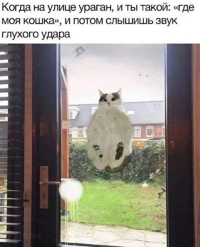 Весело и смешно!