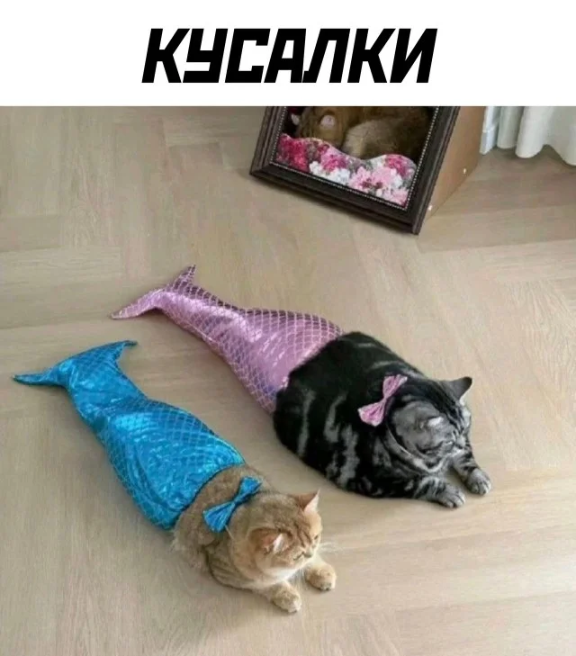 Отгружаем картинки