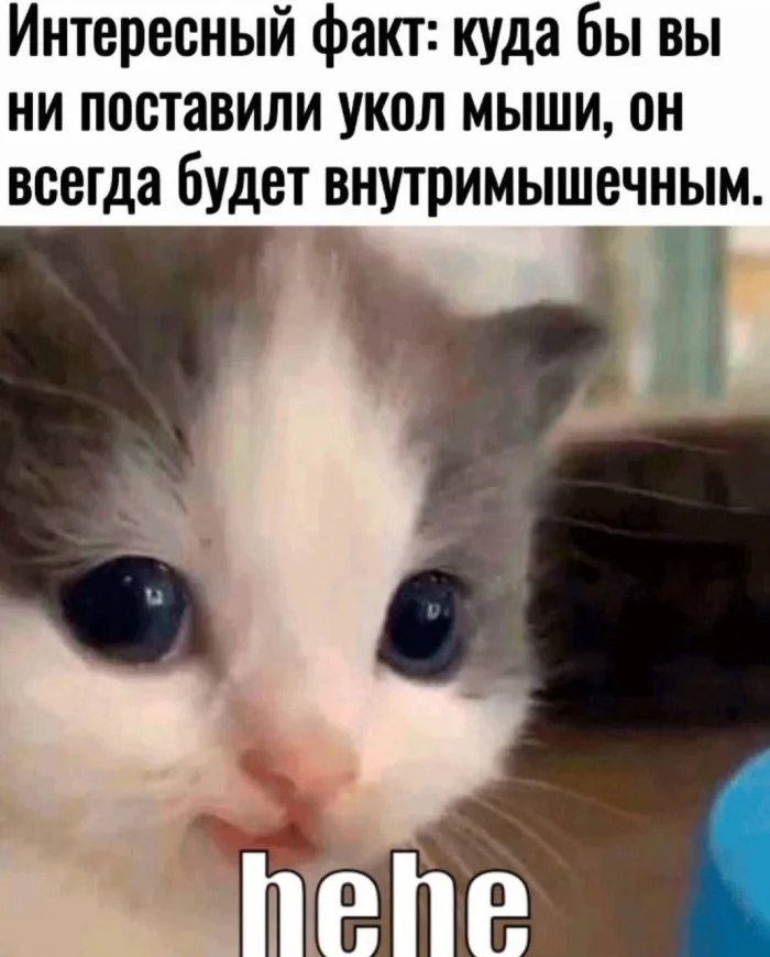 Нестандартный юмор #392