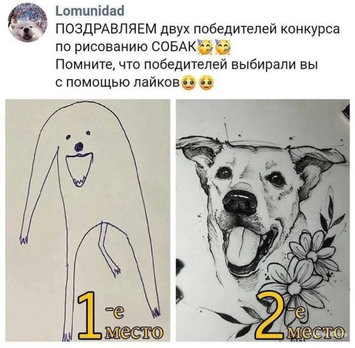 Картинки. С текстом