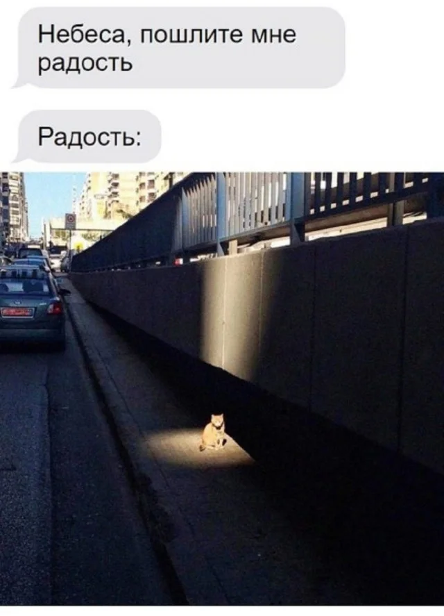 Ха-ха! Картинки!