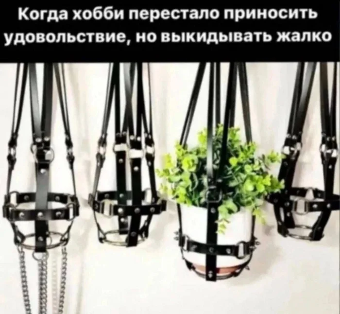 Нестандартный юмор #378