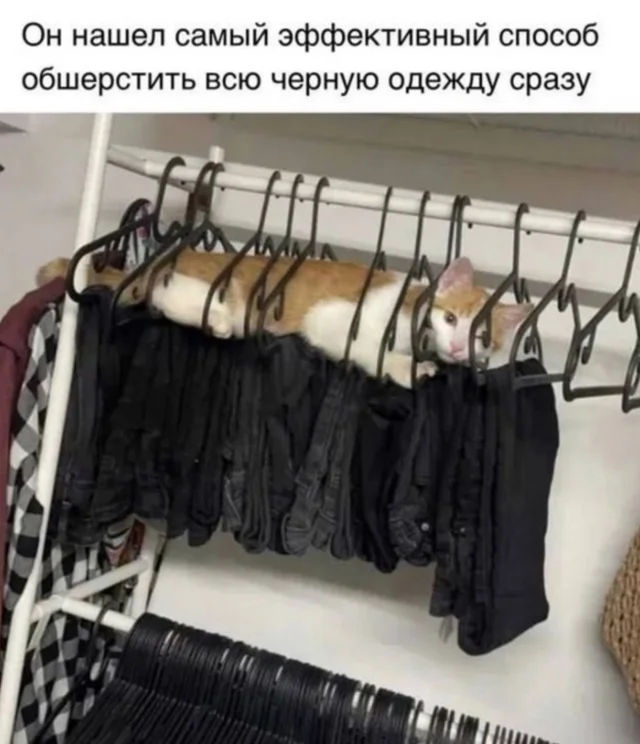 Весело и смешно!