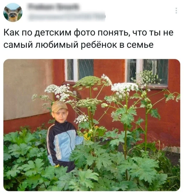 Очень весело