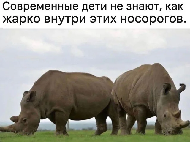 Кино-мемы