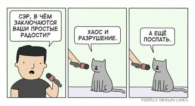 Смешные скрины из соцсетей #49