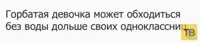 Веселые дичь